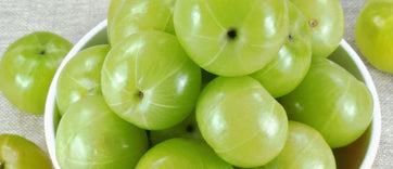 Amla Fruit