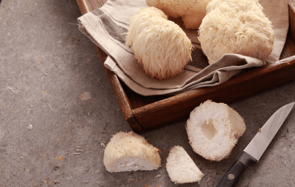 4 Impressive Health Benefits Of Lion’s Mane Mushrooms